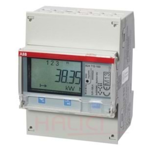 B24 112 - 100 Electronic Energy counter