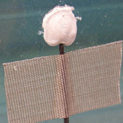 Yüksek sıcaklık seramik yapıştırıcı, MgO doldurucu,C–M, M–M yapıştırma
