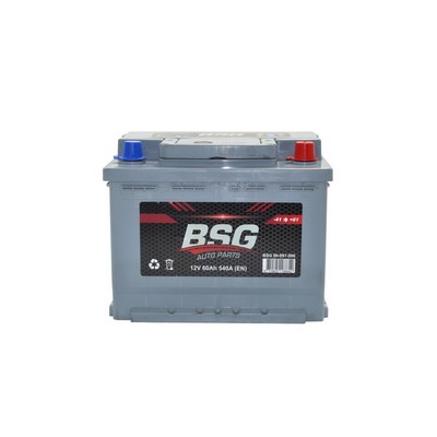 Bsg 12V 60Ah Starter Smf Battery ( Production Date: 2021 )