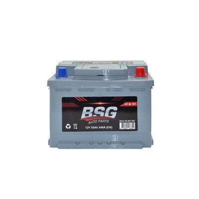 Bsg 12V 55Ah Starter Smf Battery ( Production Date: 2021 )