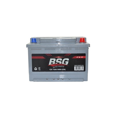 Bsg 12V 75Ah L3 Smf Starter Battery ( Production Date: 2021 )