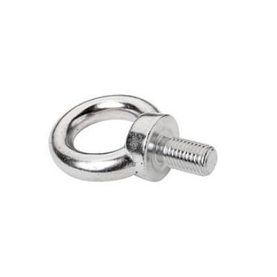 Ring Bolt Fixed Similar to DIN580 Standard M08X13, Stainless Steel 1.4401