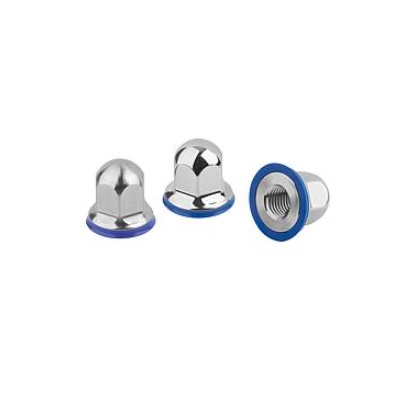 Core Nut Hygienic Design, with Gasket, M10, Sw=16, Stainless Steel A4 1.4404
