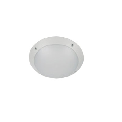 Pelsan-IP66 Ceiling / Wall Luminaires-White-15W 6500K Emergency Ayd Kit