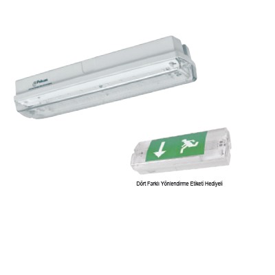 Pelsan-Emergency Lighting and Direction Luminaires-10W 6500K Surface Mounted