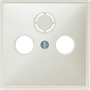 Center plate for antenna sockets with 2/3 holes, light gray, System Design-4011281804351