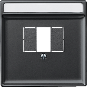 Center plate for TAE/Audio/USB, black grey, System Design-4011281808809