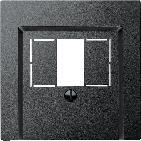 TAE/Audio/USB, anthracite, center plate for System M-4011281894543