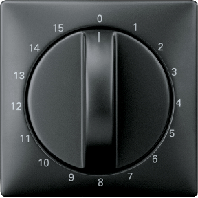 Center plate for time switch input, 15 min, black gray, System Design-4011281777853