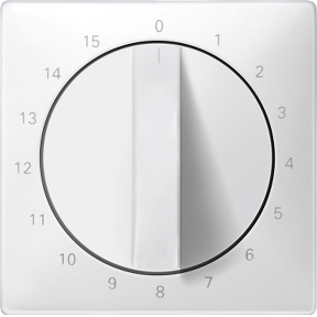 Center plate for time switch input, 15 min, polar white, System Design-4011281777303