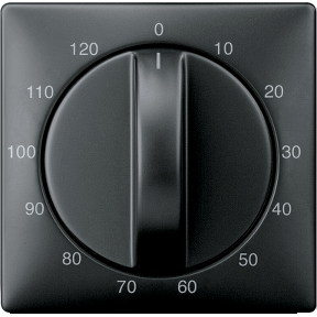 Center plate for time switch input, 120 min, black gray, System Design-4011281778508