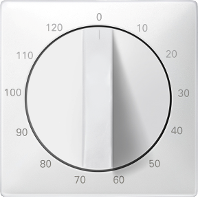 Center plate for time switch input, 120 min, polar white, System Design-4011281777952
