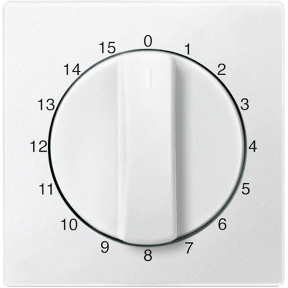 Zaman anahtarı girişi için merkezi plaka, 15 dak, kutup beyazı, System M-4042811031343