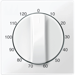 Center plate for time switch insert, 120 min, polar white, glossy, System M-4042811034443