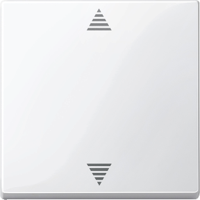 Blind button, polar white, glossy, System M-4042811032609