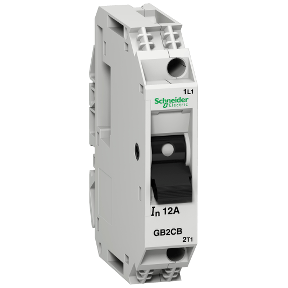 Tesys Gb2 - Thermal-Magnetic Circuit Breaker - 1P - 3 A - Id = 40 A-3389110214628