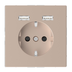 Type A+A 2,4A Usb Grounded Socket Champagne, System Design-3606489429928