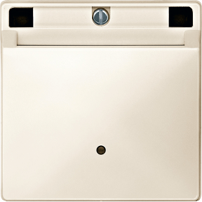 Energy Saver Key Cover, Cream, For Artec/Antique Frames-3606485001531