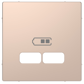 Merten D-Life USB Prz Tuş Kapağı Şmp Mtl-MTN4367-6051