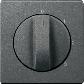 Üç kademeli döner anahtar için merkezi plaka, antrasit, System M-3606485004280