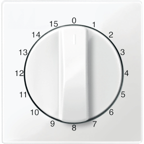 Center plate for time switch insert, 15 min, polar white, glossy, System M-3606485098623