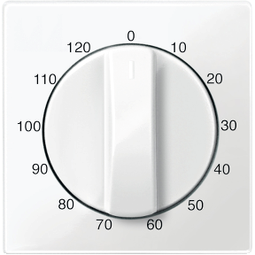 Center plate for time switch insert, 120 min, polar white, glossy, System M-3606485098647