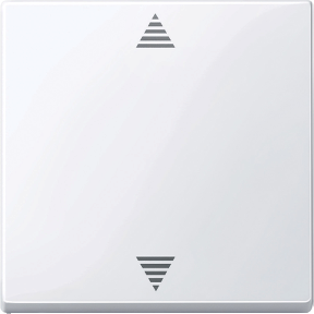 Sensör bağlantılı kör basma düğmesi, aktif beyaz, parlak, System M-3606485104805