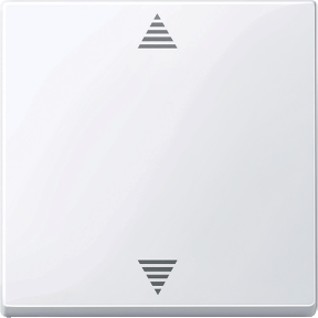 Hafıza fonksiyonlu ve sensör bağlantılı kör basmalı düğme, aktif beyaz, parlak, System M-3606485099293