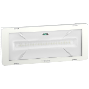 Exiway Smartled - Std - Discontinuous - 1 Hour - 300Lm-3606480894206