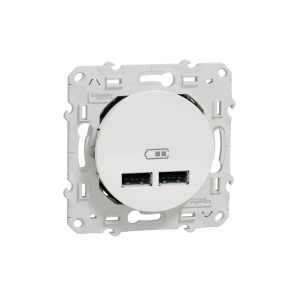 DOUBLE USB 2.1 WHITE - 1*RJ45 konnektörsüz - Beyaz-3606480995163