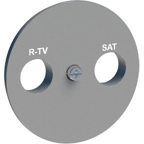 Odace, Tv/R Socket Key Cover, Aluminum-3606480492761