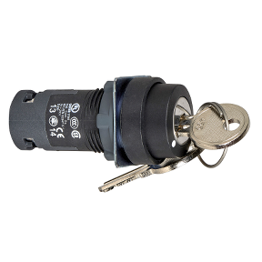 key select key - Ø 22 - key lock - 3 positions - 2 NA - Ronis 455 center-3389110162356