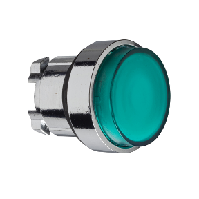 Green Projecting Lighted Push Button Head For Integrated Led Ø22 Spring Return-3389110889857