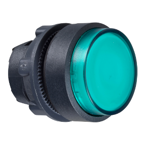 Green Projecting Lighted Push Button Head For Integrated Led Ø22 Spring Return-3389110909845