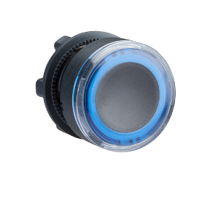 Blue Recessed Illuminated Push Button Head For Integrated Led Ø22 Spring Return-3389110924367