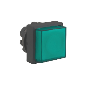 Green Square Protruding Illuminated Push Button Head For Integrated Led Ø22 Spring Return-3389110934786