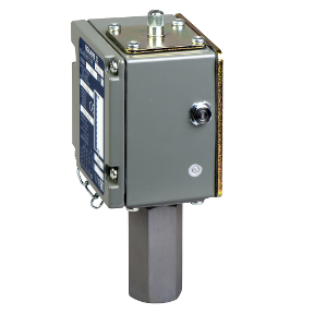 Pressure Switch Acw 21 Bar - Adjustable Scale 2 Threshold - 1Ak-3389110667172