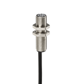 Inductive Sensor Xs1 M12 - U41.3Mm - Brass - Sn2Mm - 24..240Vac - Cable 2M-3389119001700