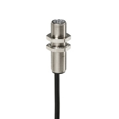 Inductive Sensor Xs1 M12 - U41.3Mm - Brass - Sn2Mm - 12..24Vdc - Cable 2M-3389119001854