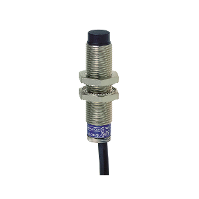 Inductive Sensor Xs6 M12 - U55Mm - Brass - Sn7Mm - 12..48Vdc - Cable 2M-3389119014267