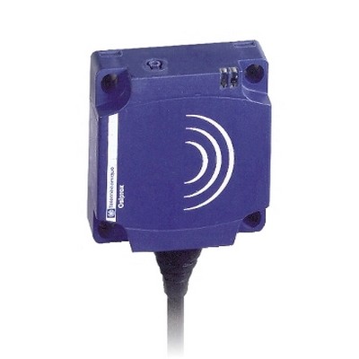 Inductive Sensor Xs8 40X40X15 - Pbt - Sn25Mm - 12..24Vdc - Cable 2M-3389110142679