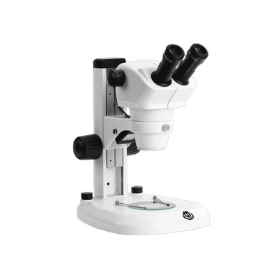 Binoküler Mikroskop
